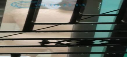邻居毛毛