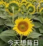 骚货又发骚啦1