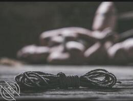 家里的小狗 想听一下评论 2