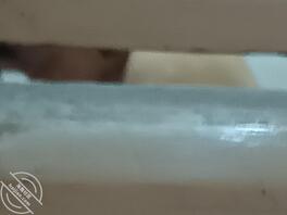 绿母恋母贡献母猪骚妈 求受精怀孕侮辱1