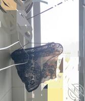 我老婆姐姐的性感蕾丝内裤