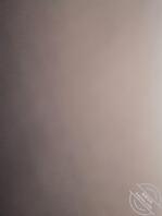 妻子的骚逼屁眼0