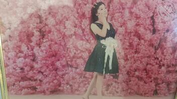 求大神给我妈AI去衣2