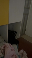 [原创]调教07母狗之上位震动棒抽插口爆颜射，完整版主页
