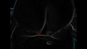 母狗&mdash;全自动榨汁机