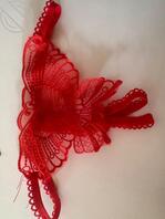 发现妈妈的情趣内裤1