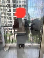 湛江附近寻找熟女阿姨妈妈保姆奶妈干妈绿母儿和绿帽男和真实乱伦母子玩乱伦0