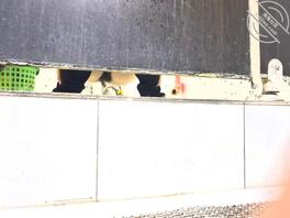 小姐姐一般般1