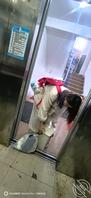 扫楼打胶      高冷母狗尾随打胶！2