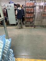 工厂内的骚逼们0