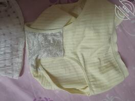 拿大姨子内裤撸2