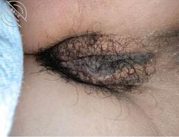 前女友的黑骚穴